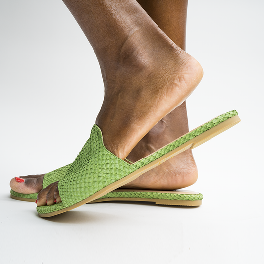 Josefina - Rainforest