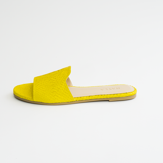 Josefina - Daffodil